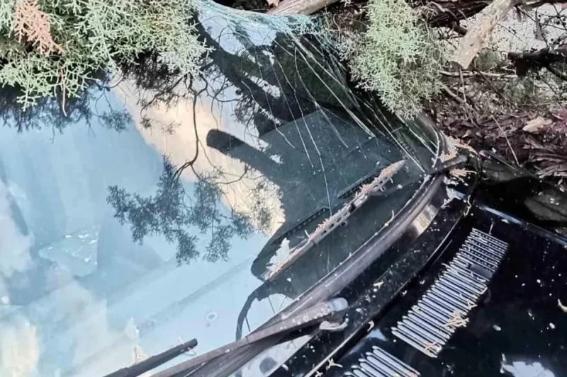 Fotografije kaosa u Mostaru: Vjetar rušio stabla, oštećeni automobili 2