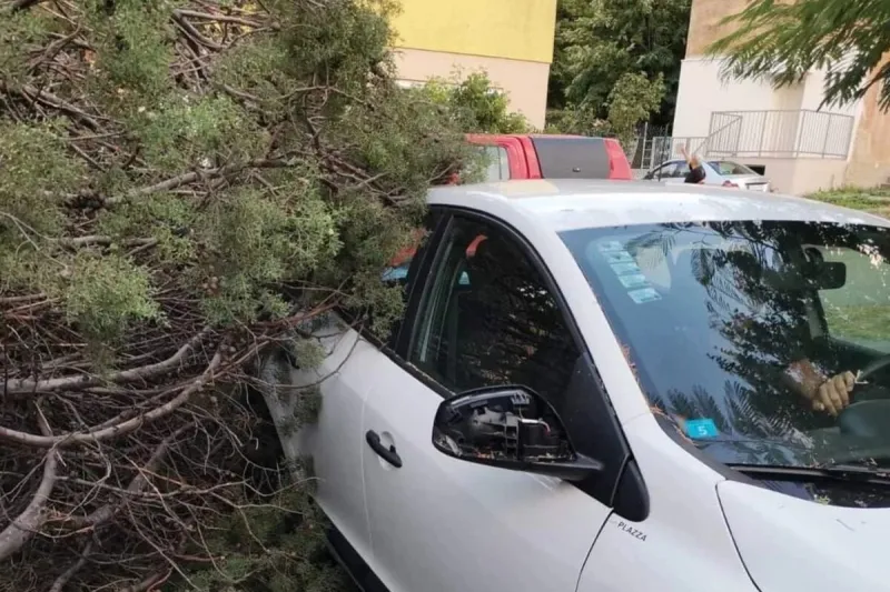 Fotografije kaosa u Mostaru: Vjetar rušio stabla, oštećeni automobili 3