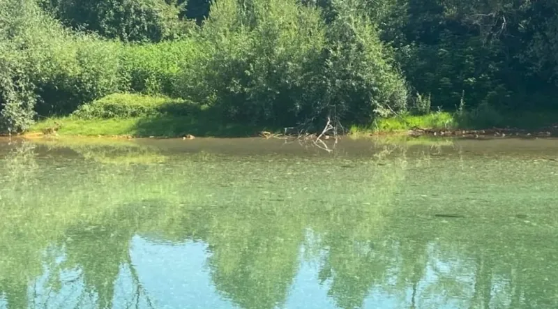 Pomor ribe u Neretvi, policija i sve službe istražuju šta se dogodilo