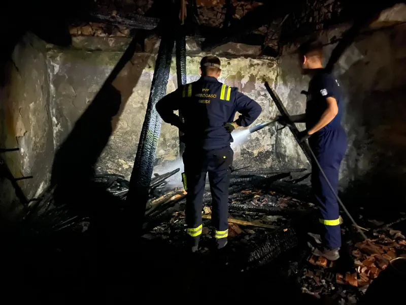 Grudski vatrogasci gasili stambeni objekt na Višnjici, šumu na Puteševici, Blidinje...