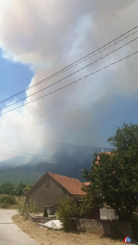 FOTO: Naš suradnik se javio iz Livna, zatražen kanader zbog požara na Kamešnici 2