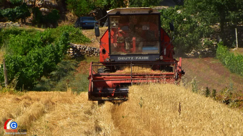 FAO: Cijene hrane rastu treći mjesec zaredom
