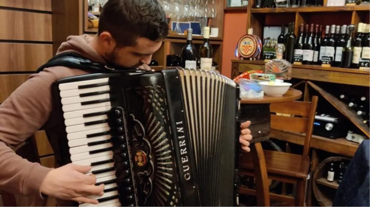 Nastava klavira i harmonike Jakova Grizelja: GLAZBA JE ŽIVOT