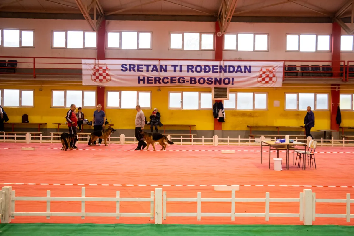 DOG SHOW GRUDE 2022 - 2xCAC I SPECIJALNA IZLOŽBA TORNJAKA