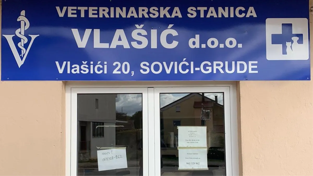 U tijeku je svinjokolja, donosimo priopćenje iz Veterinarske stanice Vlašić d.o.o.