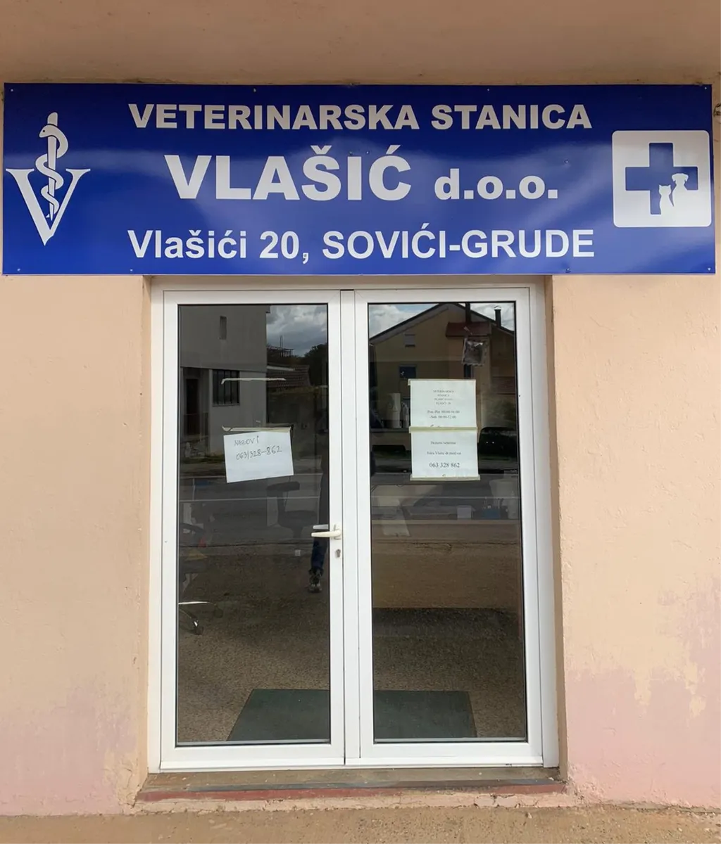 U tijeku je svinjokolja, donosimo priopćenje iz Veterinarske stanice Vlašić d.o.o. 1