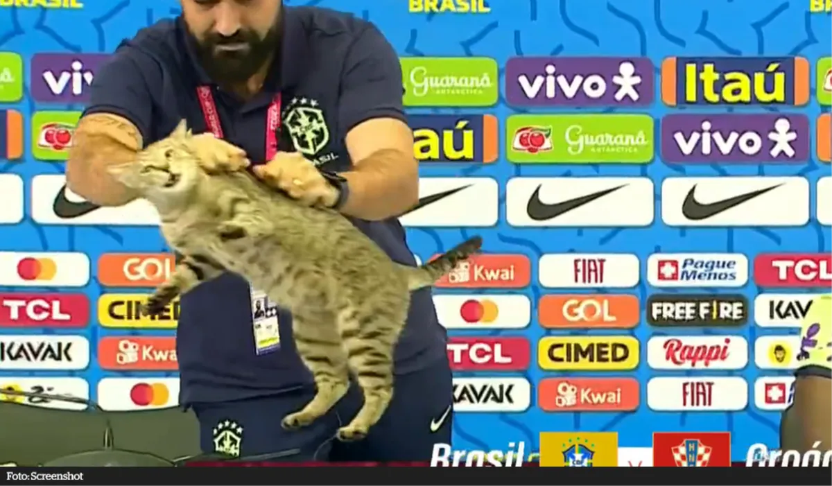 Brazilci, ovo vam je za mačku!