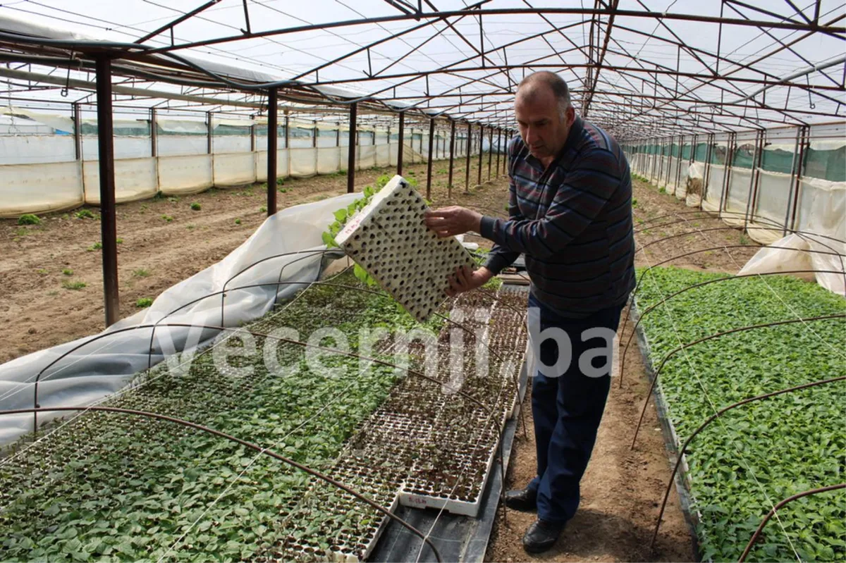 Nova kultura u Hercegovini! Planira se širenje proizvodnje