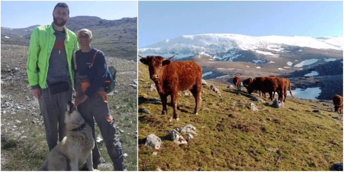 Računalni stručnjak Ameriku zamijenio BiH! U planini otvorio farmu!
