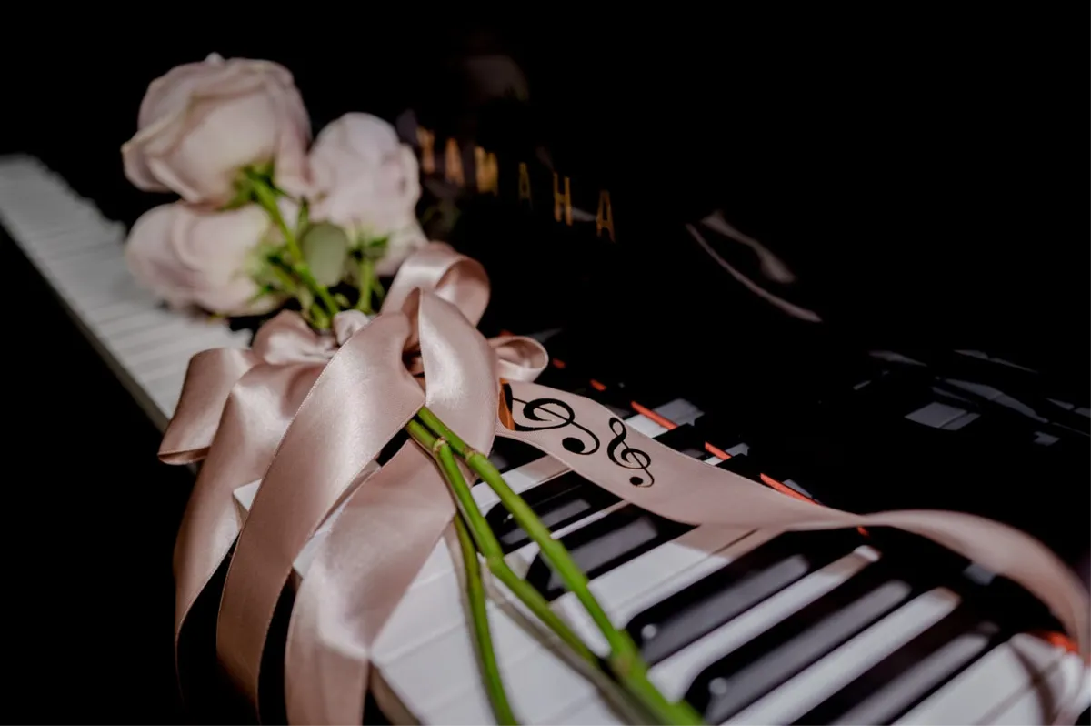 Upriličen veličanstven diplomski koncert Gruđanke Gabrijele Iličić FOTO 3