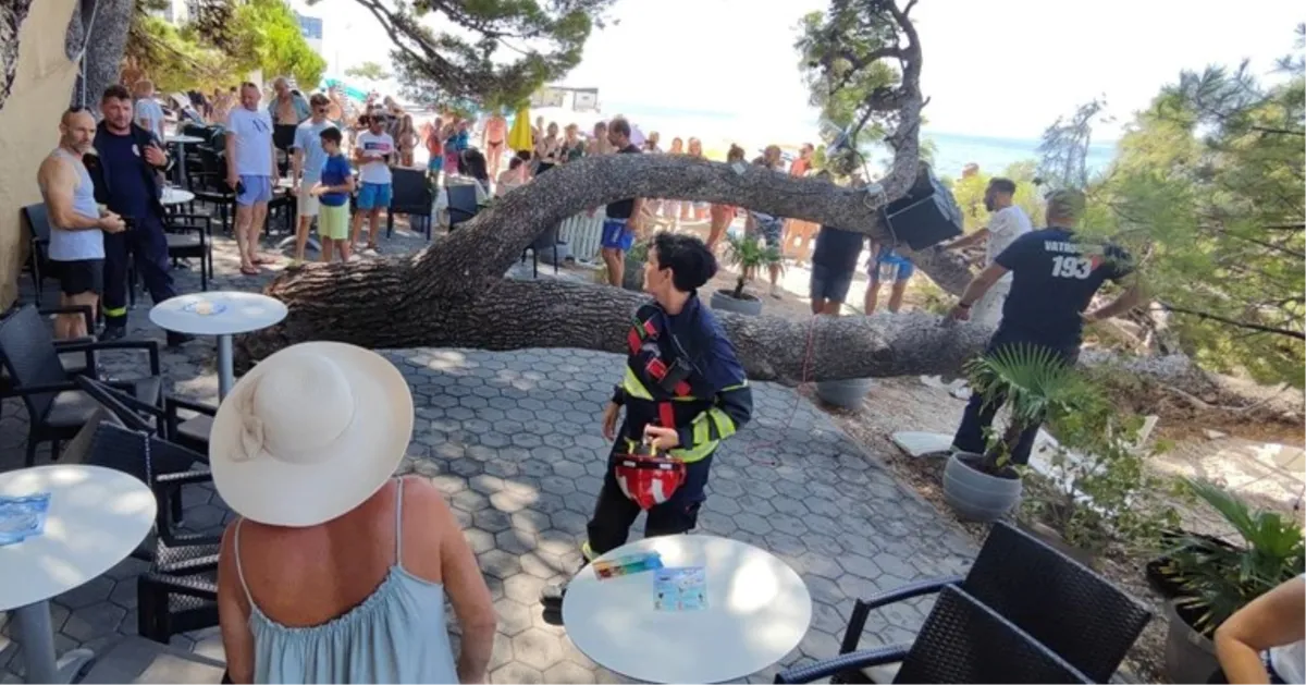 Hitna pomoć sanirala ozljede četvero ljudi na koje se srušilo stablo u Baškoj Vodi