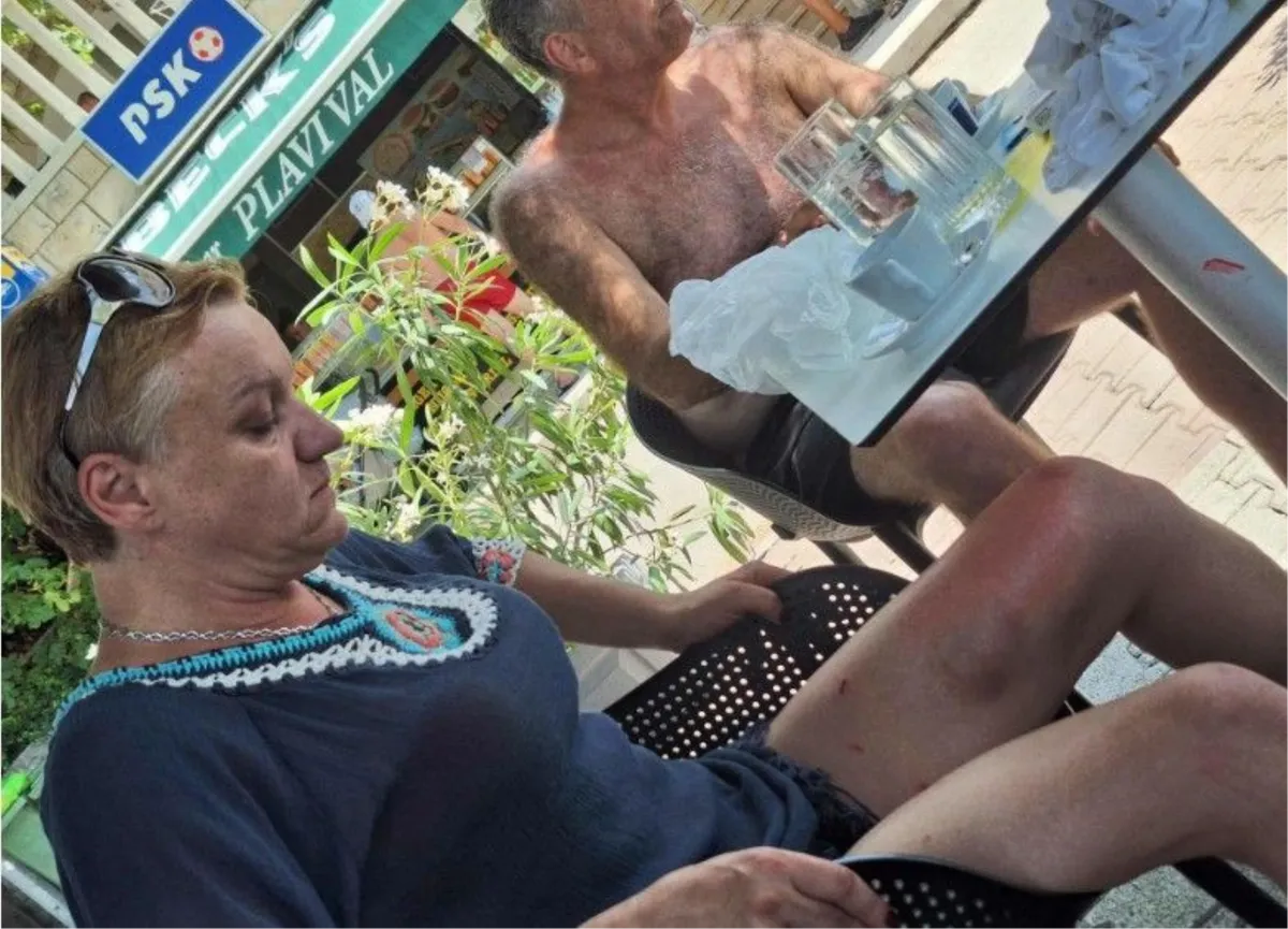 Ozlijeđene pri padu stabla u Baškoj, slali u Mostar! Hitna u Baškoj Vodi nema ni sredstvo za dezinfekciju rana