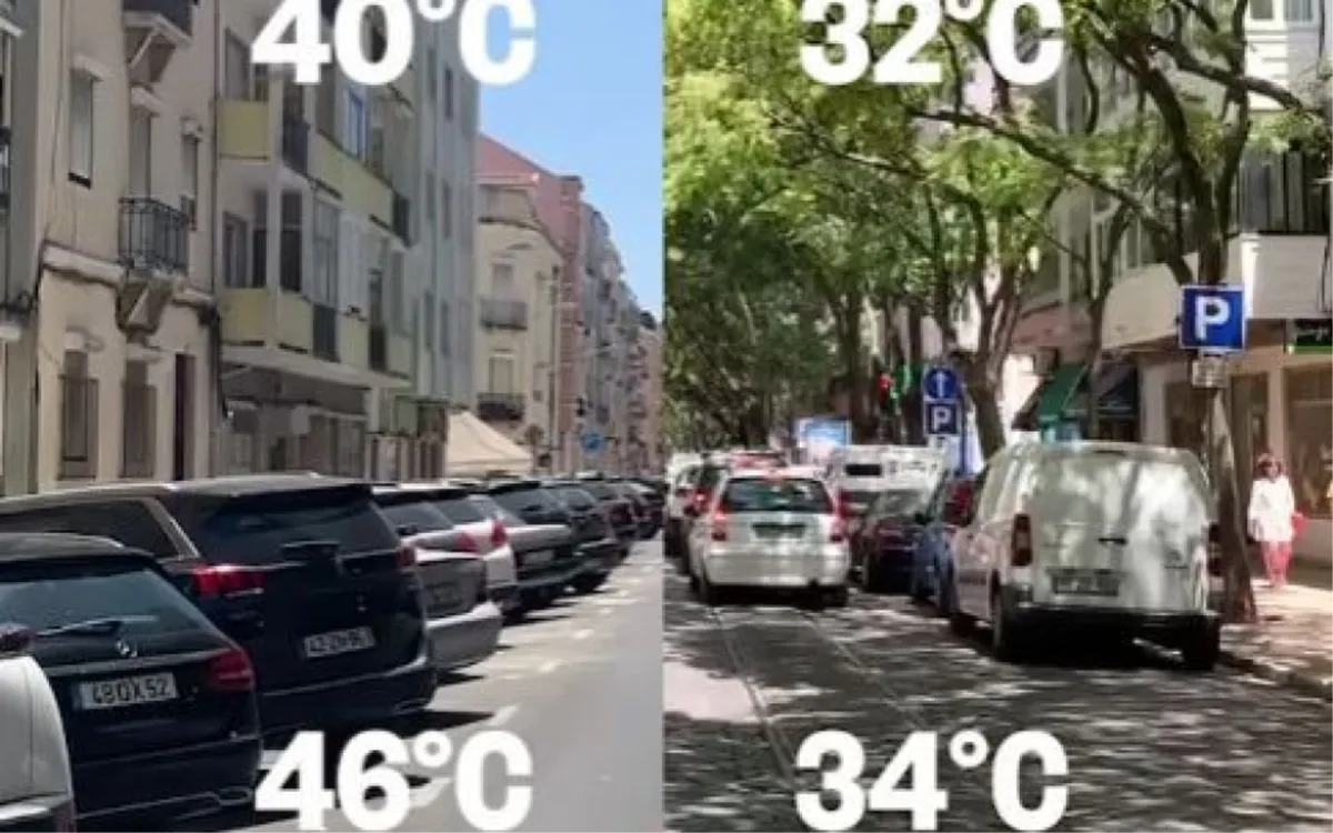 Evo koliko stabla mogu rashladiti ulice tijekom ljeta