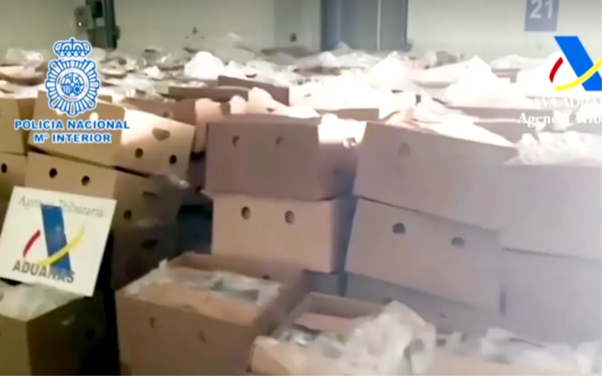 Rekordna zapljena kokaina u sanducima za banane