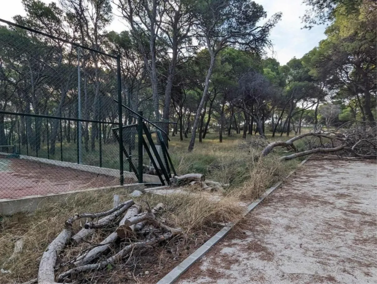 OTOK SMOKVICA: Todorić ostao bez rajskog otoka, sada njime caruju lopovi 1