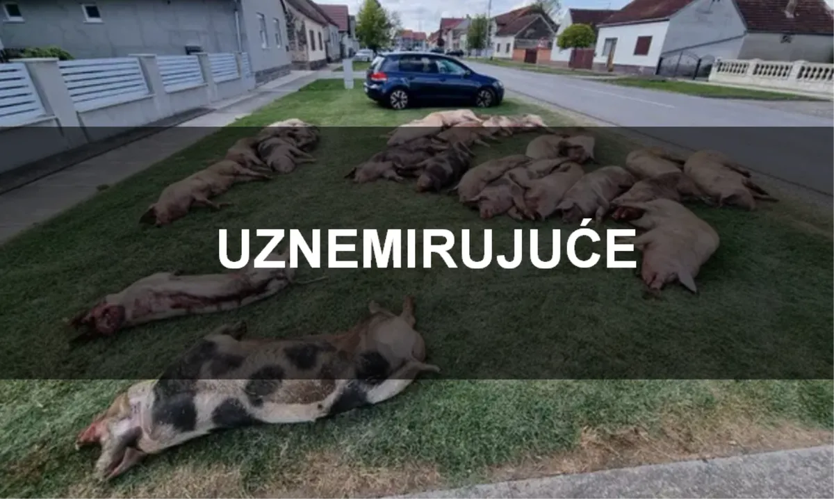 Ministar poljoprivrede: Ne isključujem da se radi o specijalnom ratu protiv Hrvatske