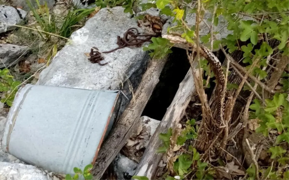 Najezda poskoka u Imotskom šokirala iskusnog ljubitelja prirode