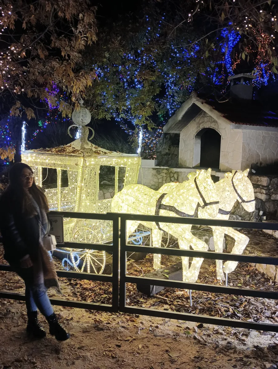 FOTO: Članovi Udruge umirovljenika Grude posjetili Božićno selo. Svima žele sretan i blagoslovljen Božić 5