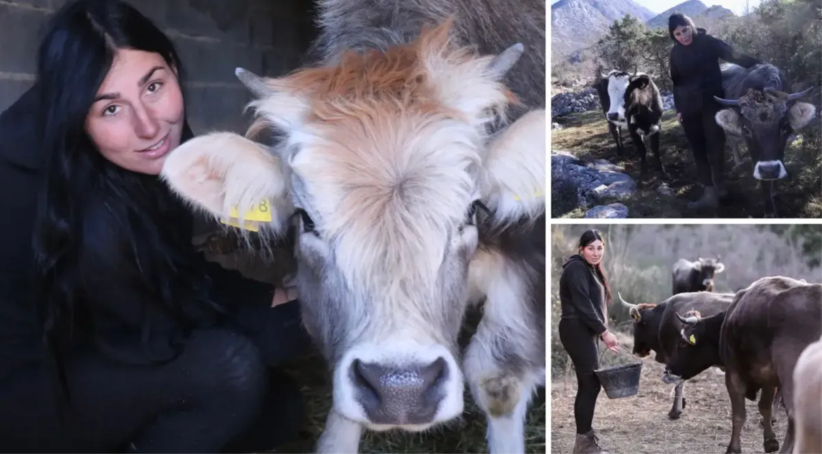 S Biokova odjekuje Antonijin glas! Mlada dama ima stado krava i ne bi se mijenjala ni za jedan dan života u gradu i u kafićima