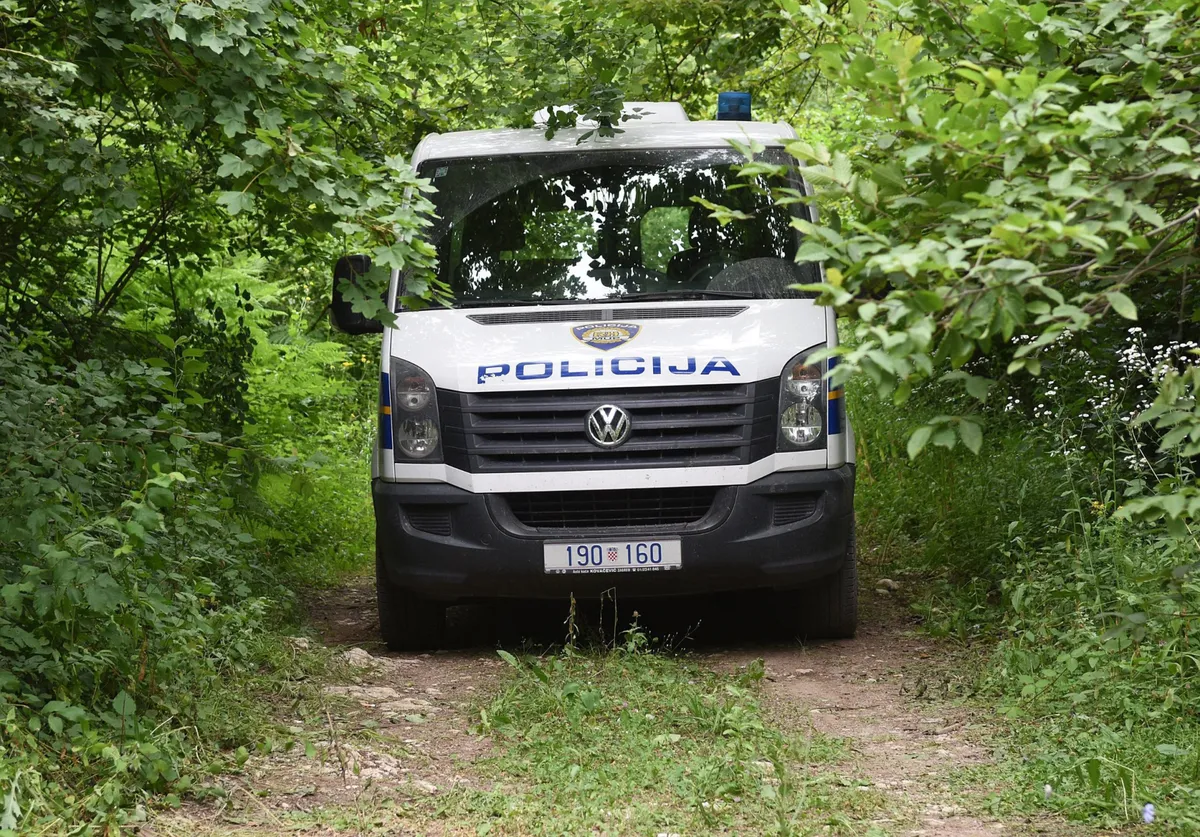 Božinović: Skupina ''Zebra'' protiv krijumčarenja migranata