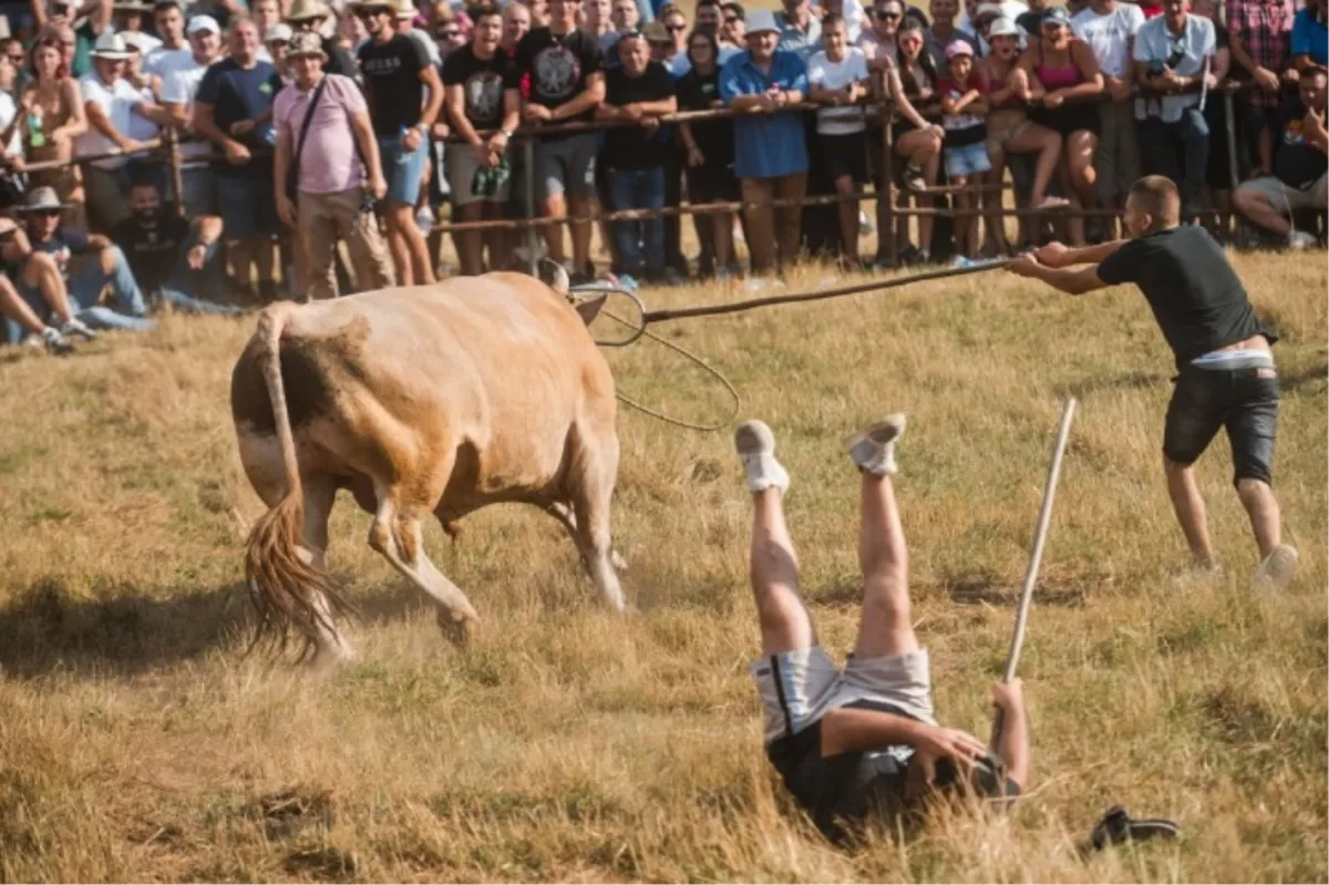 Ova fotografija kandidira za najbolju novinsku u jugoistočnoj Europi! Nastala kad je slavio bik Mesi, Benita Brajkovića