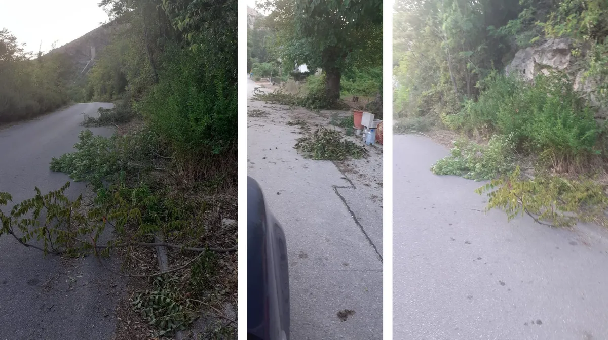 Od Tihaljine do Peć Mlina cesta 'zazelenila', vozač naišao na grane pa nam se pojadao...