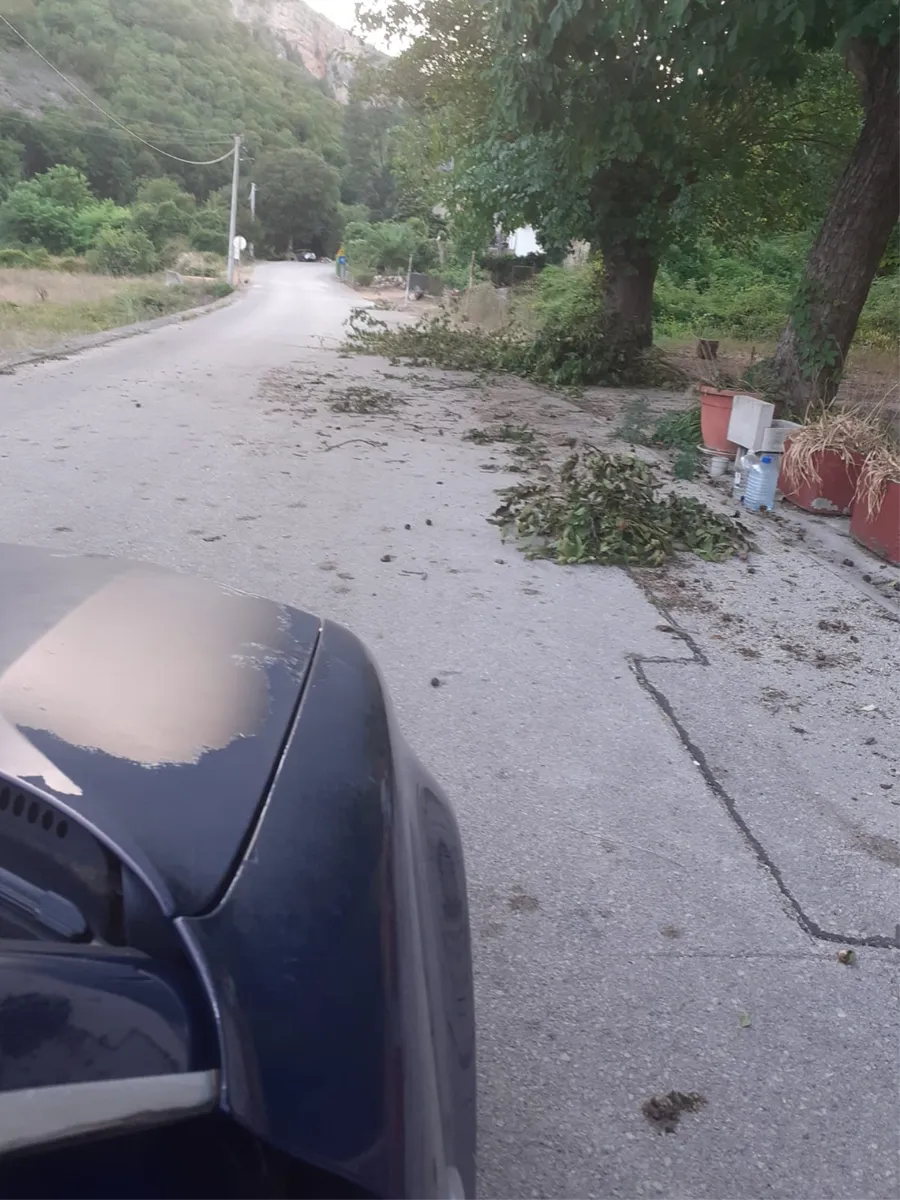 Od Tihaljine do Peć Mlina cesta 'zazelenila', vozač naišao na grane pa nam se pojadao... 1
