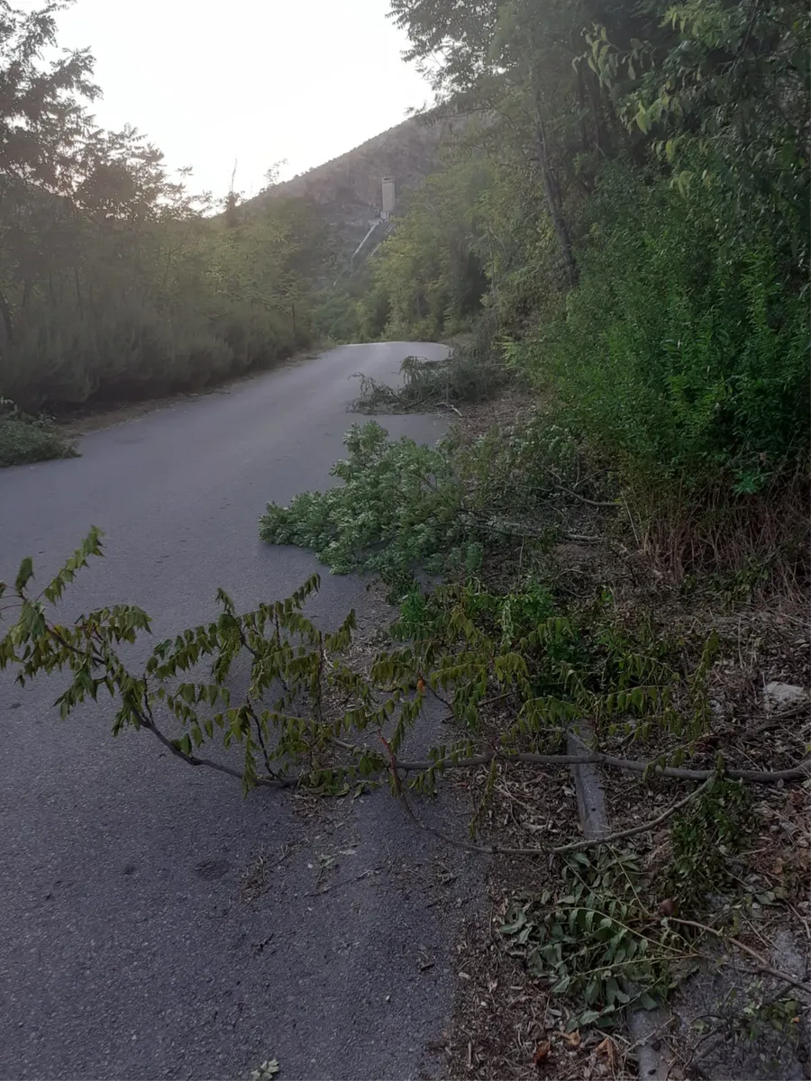 Od Tihaljine do Peć Mlina cesta 'zazelenila', vozač naišao na grane pa nam se pojadao... 3