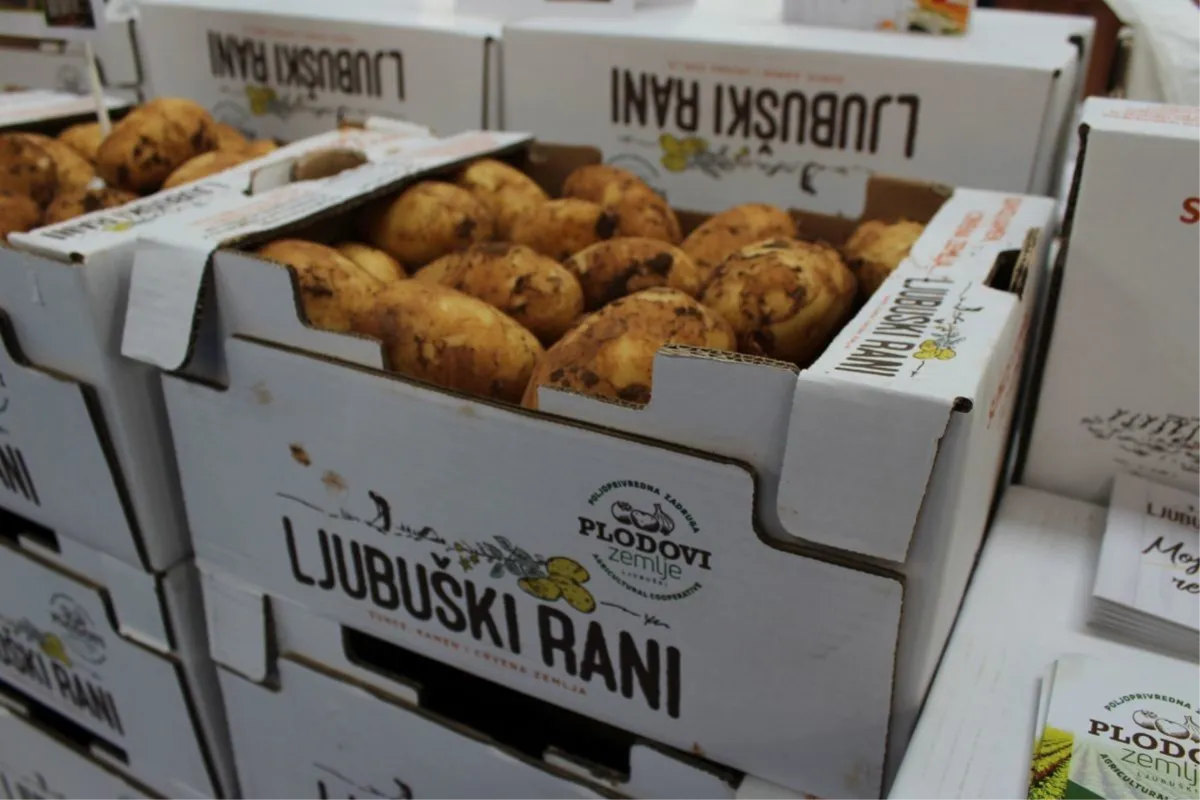Krenula sadnja 'Ljubuškog ranog' krumpira