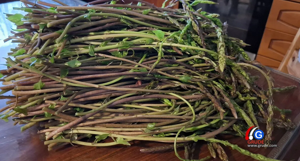 Kuke i šparoge – iskoristite blago koje vam priroda nudi