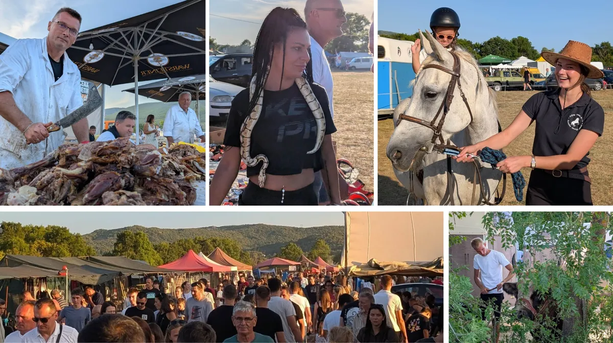FOTO: Lito je na Ilindanu! Posjetili smo Ilino Brdo – Nema čega nema, a najviše ima dobrog raspoloženja!