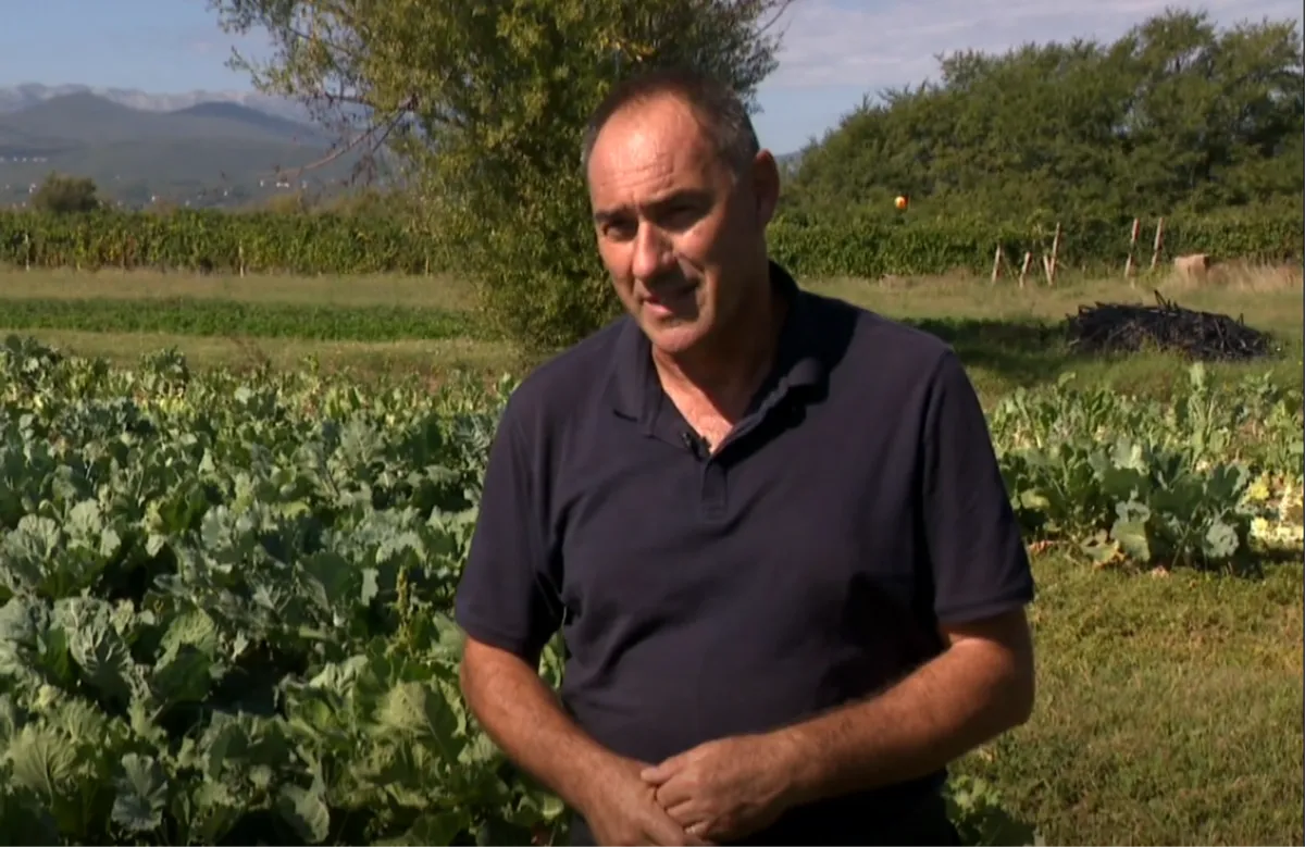 Sezona je raštike, Teo Klapirić iz Vinjana među najvećim uzgajivačima u Hrvatskoj