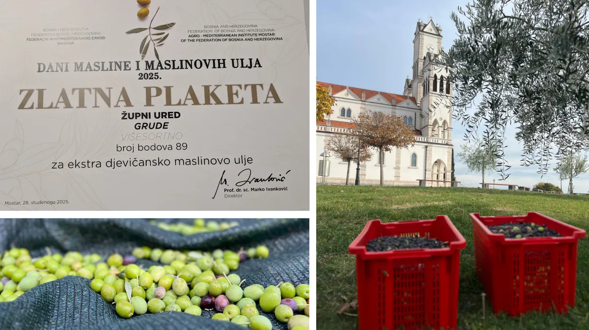 FOTO: Fra Stanku Pavloviću i Župnom uredu Grude ZLATNA PLAKETA za višesortno maslinovo ulje! Zlatom se okitio i Svemir Miloš