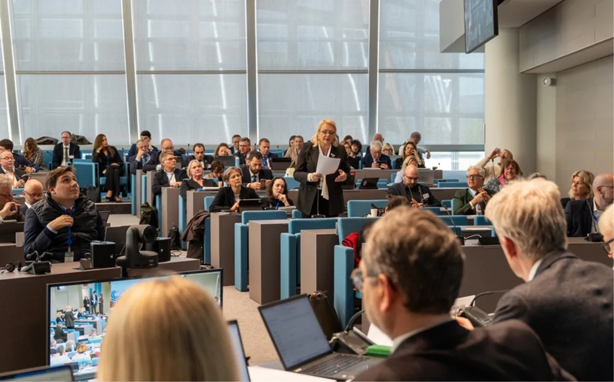 Bradara izabrana za potpredsjednicu Doma regija Vijeća Europe