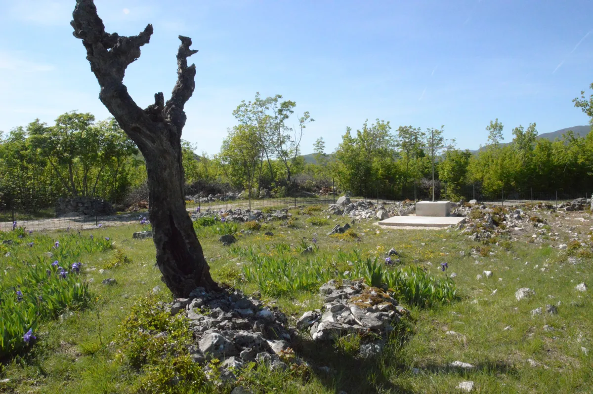Mještani Medovića obnovili staro Svatovsko groblje, evo što se tu dogodilo FOTO 5