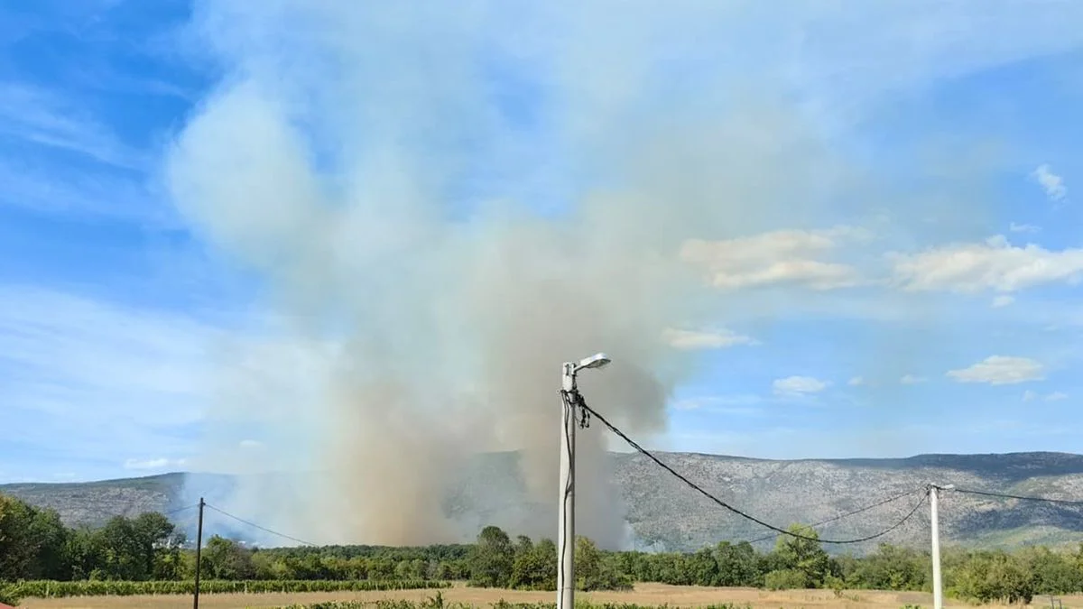 Gori na području općine Grude