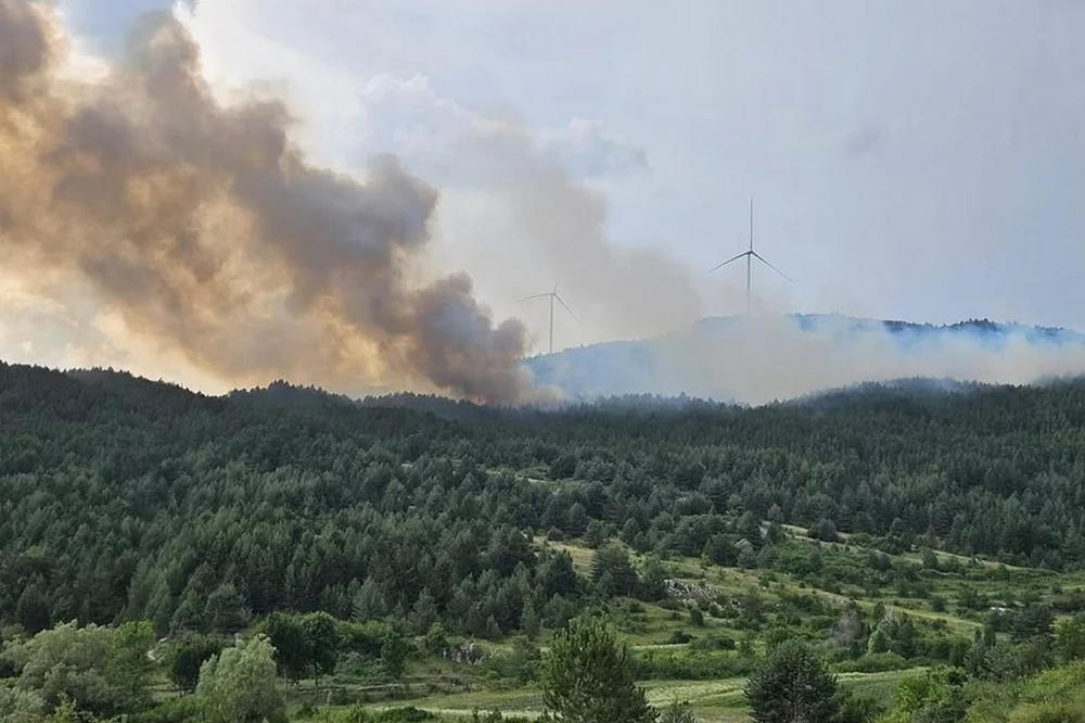 Kiša ugasila požare u Hercegovini