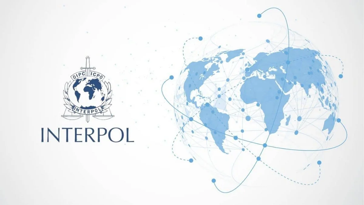 Interpol razbio 66 grupa, uhićeno 270 osoba