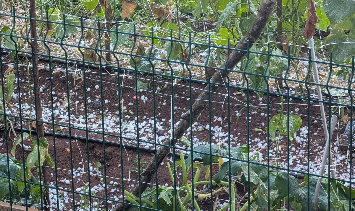 Tuča pogodila Grude FOTO